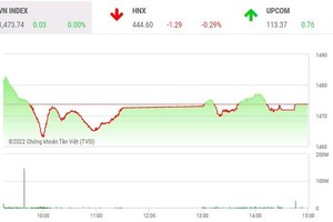 Giao dịch chứng khoán chiều 9/3: Dầu khí, vận tải biển khởi sắc, VN-Index thoát phiên giảm điểm 