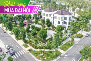 Tổng giám đốc TEG: Kỳ vọng tháng 4 - 5 cổ phiếu mới sẽ được niêm yết bổ sung