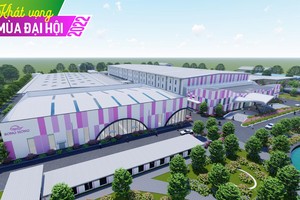 May Sông Hồng (MSH): Giải mã hiệu quả doanh nghiệp tăng vượt trội