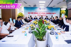 ĐHCĐ Tập đoàn Đèo Cả (DCG): Lên kế hoạch chào sàn UPCoM, tăng vốn gấp đôi, sẽ đầu tư góp vốn thêm 1.200 tỷ đồng vào HHV