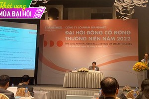 ĐHCĐ Transimex (TMS): Tiến hành thoái vốn tại Công ty liên doanh TNHH Nippon Express (Việt Nam)