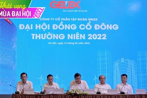 ĐHCĐ Gelex: Tăng trưởng 2 con số, IPO và niêm yết 2 công ty con