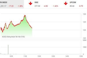 Giao dịch chứng khoán phiên sáng 14/9: Sắc đỏ bao trùm