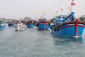 Nhằm gỡ “Thẻ vàng” khai thác thuỷ sản, Chính phủ duyệt Đề án Phòng, chống khai thác hải sản bất hợp pháp