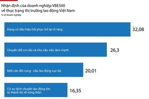 Thị trường lao động Việt Nam: Góc nhìn từ các doanh nghiệp VBE500