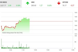 Phiên giao dịch sáng 1/3: Lực cầu bắt đáy nhập cuộc, thị trường “quay xe”, DIG bị bán tháo