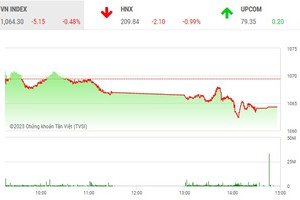 Giao dịch chứng khoán sáng 13/4: LDG bị bán tháo, thị trường chìm trong sắc đỏ 