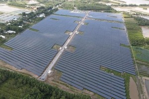 Không công bố thông tin về tình hình kinh doanh và phát hành trái phiếu, Công ty cổ phần Điện mặt trời VKT - Hòa An bị phạt