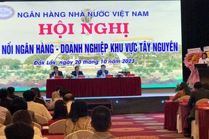 Bà Hà Thu Giang, Vụ trưởng Vụ Tín dụng các ngành kinh tế, NHNN phát biểu tại Hội nghị.