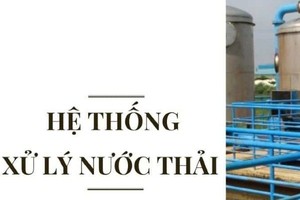 Kiến nghị xử phạt Tập đoàn Thái Tuấn vì vi phạm quy định bảo vệ môi trường
