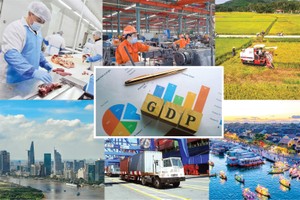 Thủ tướng chỉ thị các giải pháp trọng tâm thúc đẩy phát triển kinh tế - xã hội