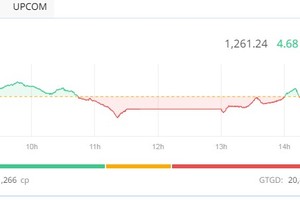 Phiên giao dịch chiều 26/6: GVR và BCM hợp sức kéo VN-Index trở lại 