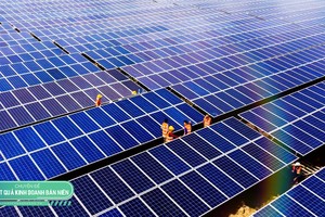 Mảng năng lượng tái tạo tiếp tục là điểm sáng và là trụ cột doanh thu của BCG trong quý II/2024