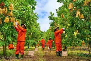 Lãi ròng quý III/2024 đạt 28 tỷ đồng, 9 tháng Nafoods (NAF) hoàn thành 71% kế hoạch lợi nhuận năm