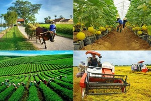 Ảnh minh hoạ. (Nguồn: Internet)