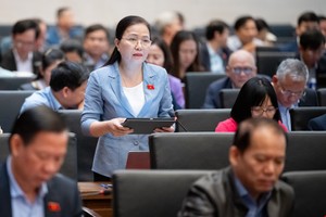 Đại biểu Đỗ Thị Lan phát biểu tại hội nghị.