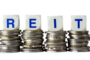 Ảnh: Shutterstock.