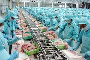 VNH: Vợ Chủ tịch HĐQT đã “thoát” toàn bộ cổ phiếu