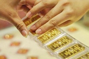 Trộm cắp tài sản, nữ nhân viên Cửa hàng Vàng bạc Ngọc Lan lĩnh án 15 năm tù