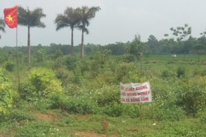 Hà Nội sắp xét xử vụ sai phạm đất đai tại xã Đồng Tâm