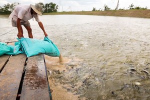 Các doanh nghiệp đã phải “lại quả” cho các bị can số tiền từ 5-25 triệu đồng/sản phẩm (ảnh minh họa)