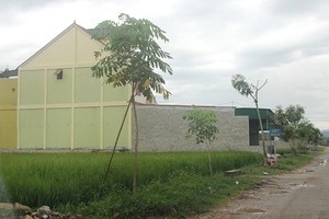 Ảnh Internet