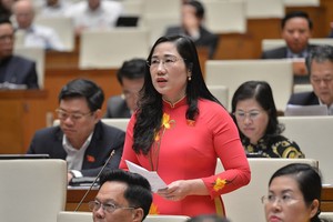 Đại biểu Nguyễn Thị Thủy phát biểu tại hội trường.