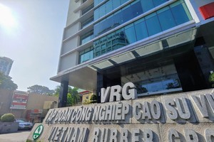 Tập đoàn Cao su Việt Nam (GVR) sắp chi 1.600 tỷ đồng trả cổ tức 2024 trước thềm đại hội bất thường