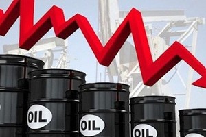 Công ty dự trữ dầu lớn nhất thế giới đã hết khả năng lưu trữ