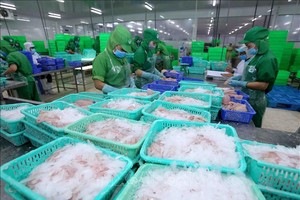 Đầu tư và Phát triển Đa Quốc gia (IDI): Ngấm đòn do Covid-19, lợi nhuận 6 tháng giảm 82,1%