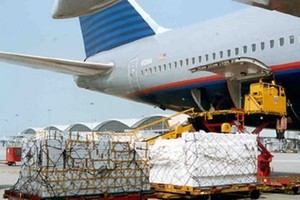 Dịch vụ Hàng hóa Nội Bài (NCT) tạm ứng cổ tức năm 2020 tỷ lệ 30%