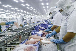 Thêm Thủy sản Cần Thơ (CCA) báo cáo lợi nhuận giảm 94% trong quý III/2020