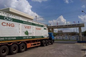 CNG Việt Nam (CNG): Năm 2020 lợi nhuận đạt 51,93 tỷ đồng, giảm 38,4%