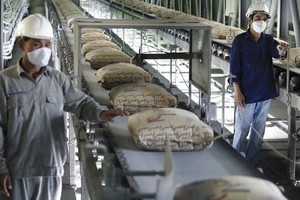 Xi măng Bỉm Sơn (BCC): Năm 2020, lợi nhuận đạt 144,9 tỷ đồng, tăng 17,6%