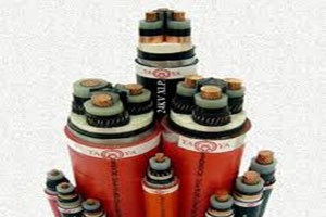 Dây và Cáp Điện Taya Việt Nam (TYA): Năm 2021 đặt kế hoạch lợi nhuận tăng 5,5% lên 75,4 tỷ đồng