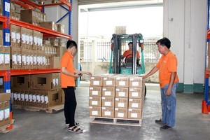 Sau kiểm toán, lợi nhuận Digiworld (DGW) tăng thêm 14,1 tỷ đồng