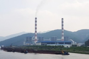 Quý I/2021, Nhiệt điện Quảng Ninh (QTP) doanh thu giảm nhưng lợi nhuận vẫn tăng