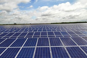 Quý I/2021, lợi nhuận Trường Thành Group (TTA) tiếp tục tăng 95% lên 31 tỷ đồng
