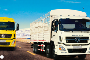 Đầu tư Dịch vụ Tài chính Hoàng Huy (TCH) lên kế hoạch mua thêm 14,8 triệu cổ phiếu Đầu tư Dịch vụ Hoàng Huy (HHS) 