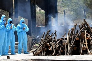 WHO: Cuộc điều tra về nguồn gốc của Covid-19 đang bị "đầu độc bởi chính trị"