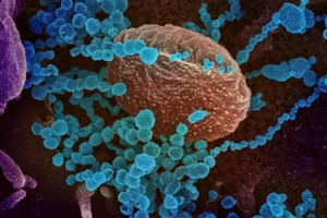 Các biến thể Delta tạo ra rào cản trên con đường bình thường hóa của châu Á