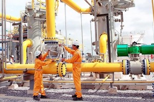 Cổ đông lớn nước ngoài muốn tăng sở hữu tại Phân phối khí thấp áp Dầu khí Việt Nam (PGD)