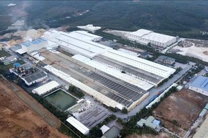 CMC (CVT) dự kiến phát hành 700 tỷ đồng trái phiếu riêng lẻ trong năm 2021