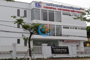 Codupha (CDP): Đà tăng cổ phiếu khó duy trì khi doanh nghiệp không hưởng lợi từ việc nhập khẩu ủy thác thuốc điều trị Covid-19