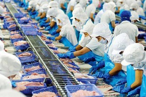 Vĩnh Hoàn (VHC) miễn nhiệm Giám đốc Công nghệ Thông tin người Canada