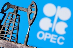 OPEC: Giá dầu tăng cao làm giảm tốc độ phục hồi nhu cầu dầu