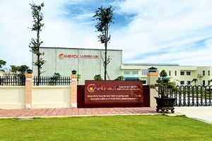 Camimex Group (CMX): Cổ đông lớn liên tục bán ra cổ phiếu