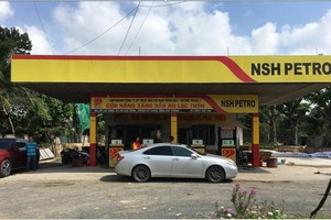 NSH Petro (PSH) chuẩn bị phát hành hơn 75,7 triệu cổ phiếu riêng lẻ cho 3 lãnh đạo với giá chiết khấu 40%