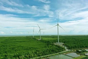 FECON (FCN) bị truy thu, tiền phạt và tiền chậm nộp thuế 1,06 tỷ đồng