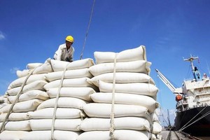 Giá lúa mỳ tăng cao và nỗi lo an ninh lương thực do ảnh hưởng từ Ukraine